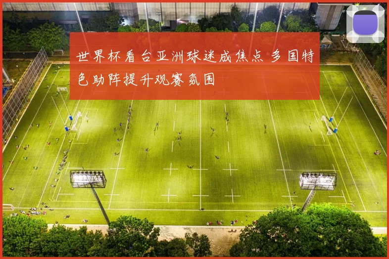 世界杯看台亚洲球迷成焦点 多国特色助阵提升观赛氛围