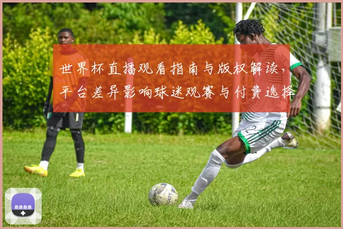 世界杯直播观看指南与版权解读，平台差异影响球迷观赛与付费选择