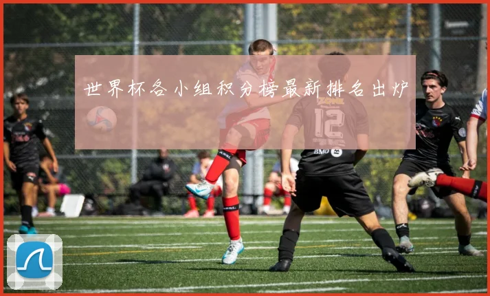 世界杯各小组积分榜最新排名出炉